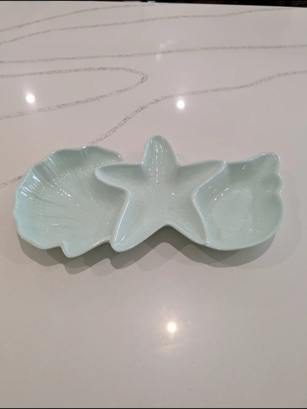 Pier 1 Imports Seabirds divided serving dish Coastal Melamine Platter Teal